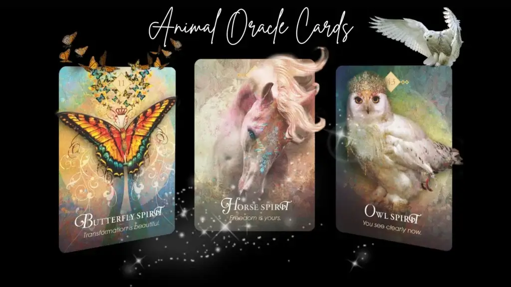 A pic Beautifully Representing the 3 Cards of Animal Oracle Deck