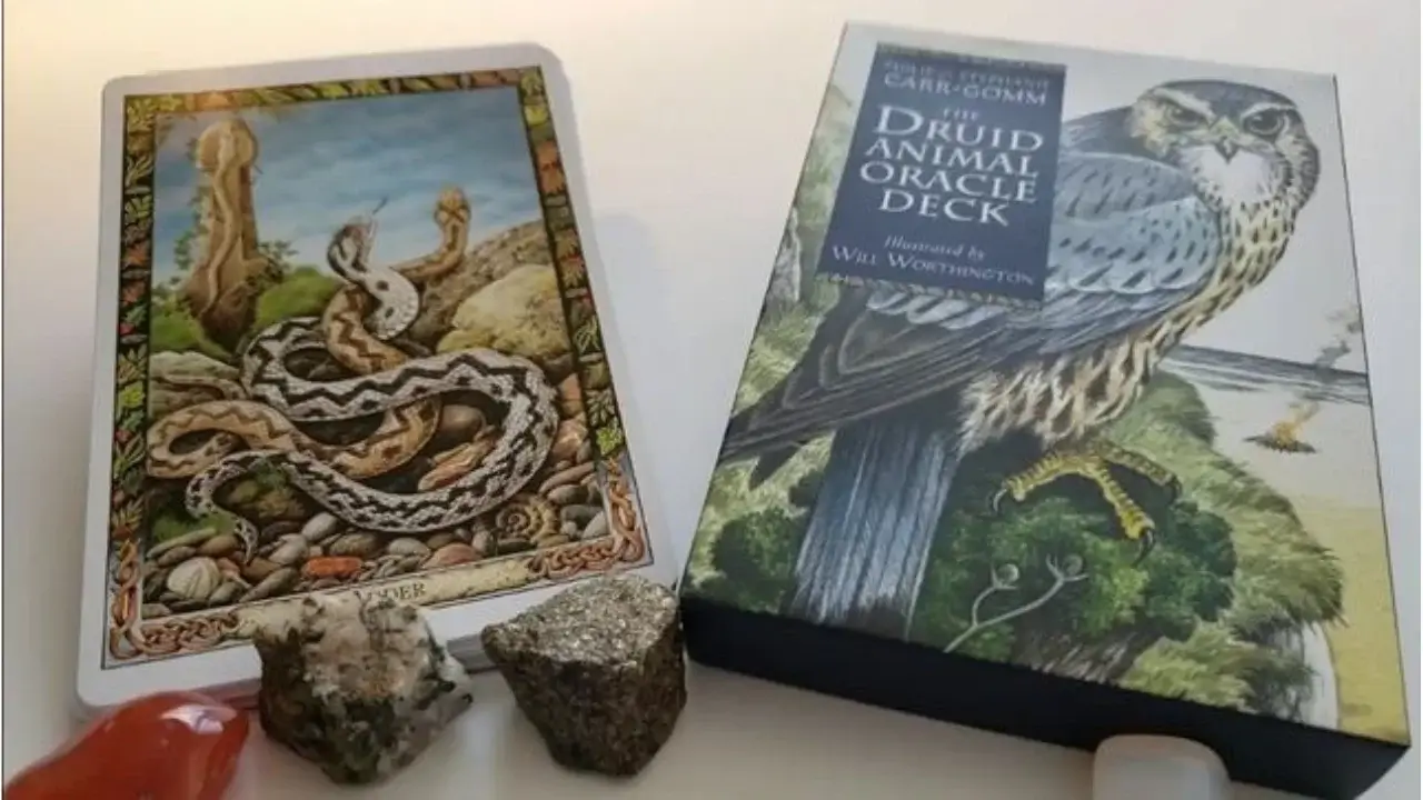 A pick Representing the Deck of Druid Animal Oracle Cards