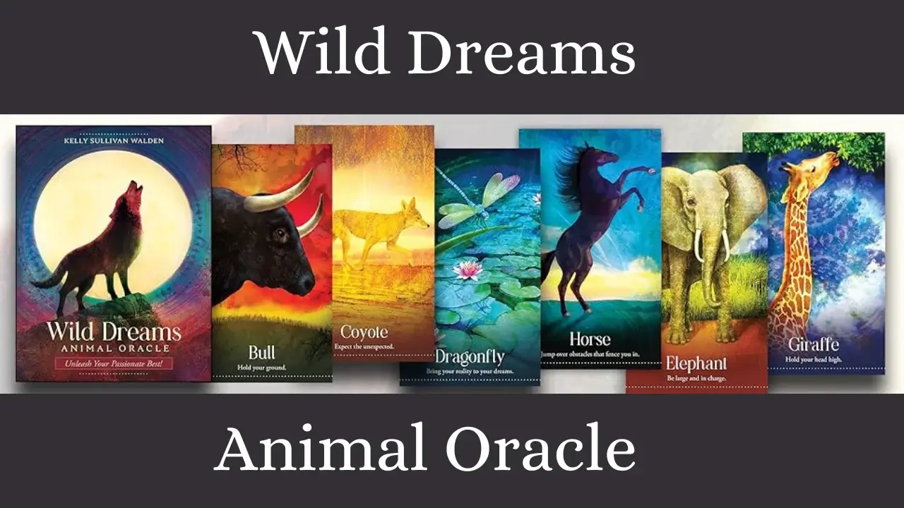 A pic representing the Deck and the Cards of Wild Animal Oracle Cards