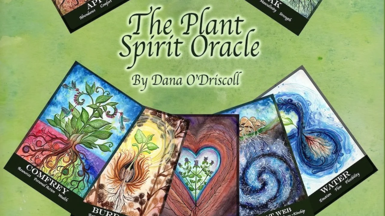 A pic representing the cards of The plant spirit oracle 